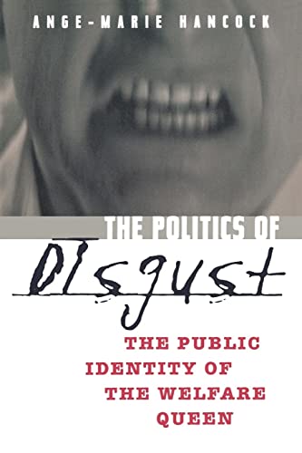 Stock image for The Politics of Disgust: The Public Identity of the Welfare Queen for sale by ThriftBooks-Dallas