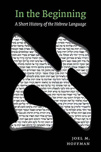 9780814736906: In the Beginning: A Short History Of the Hebrew Language