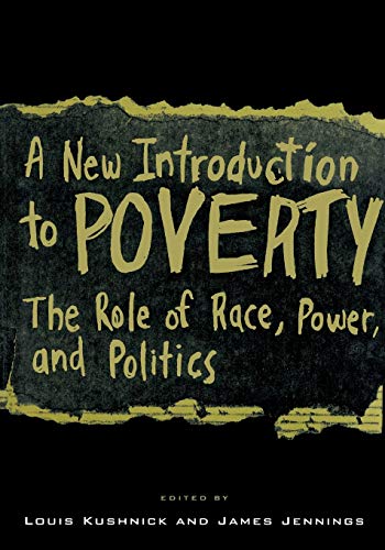 Imagen de archivo de A New Introduction to Poverty a la venta por Blackwell's