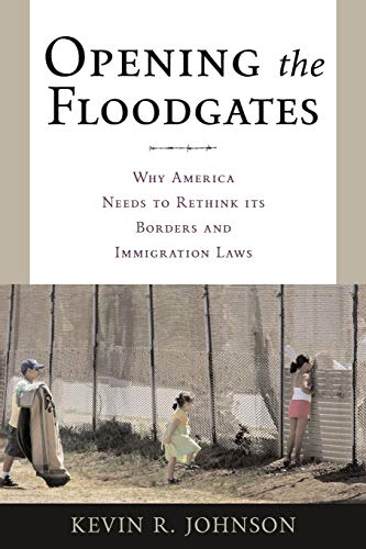 9780814743096: Opening the Floodgates: Why America Needs to Rethink its Borders and Immigration Laws (Critical America, 80)