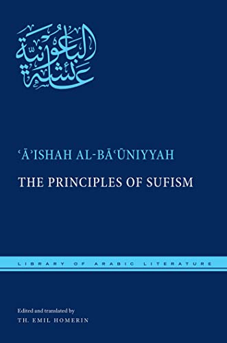 Beispielbild fr The Principles of Sufism: On the Science of Sufism zum Verkauf von Revaluation Books