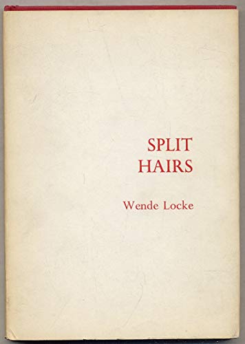 9780814749517: Split Hairs (Contemporaries)