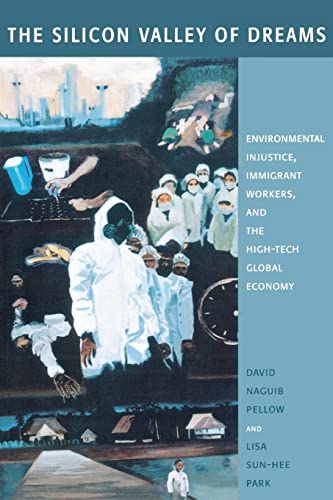 9780814767108: The Silicon Valley of Dreams: Environmental Injustice, Immigrant Workers, and the High-Tech Global Economy: 31 (Critical America)