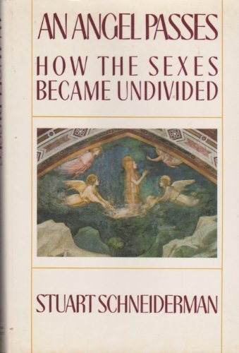 Imagen de archivo de An Angel Passes. How the Sexes Became Undivided a la venta por Valley Books
