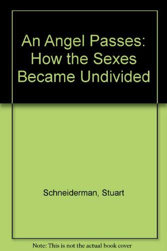 Beispielbild fr An Angel Passes : How the Sexes Became Undivided zum Verkauf von Better World Books