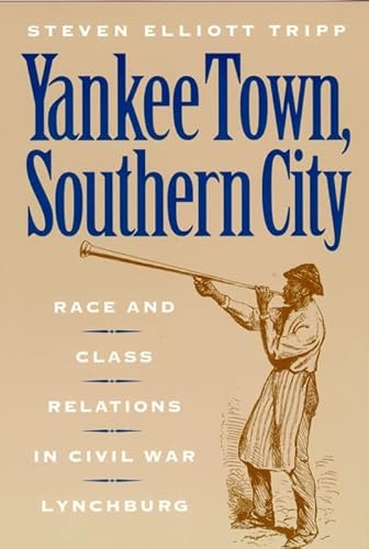 9780814782057: Yankee Town, Southern City: Race and Class Relations in Civil War Lynchburg: 14 (The American Social Experience)