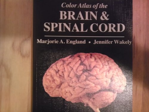 Stock image for Color Atlas of the Brain and Spinal Cord for sale by ThriftBooks-Atlanta
