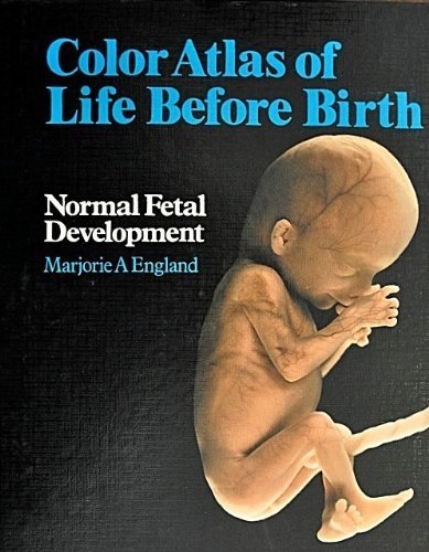 Stock image for Colour Atlas of Life Before Birth: Normal Fetal Development for sale by BooksRun