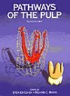 Pathways of the Pulp (9780815186137) by Stephen Cohen