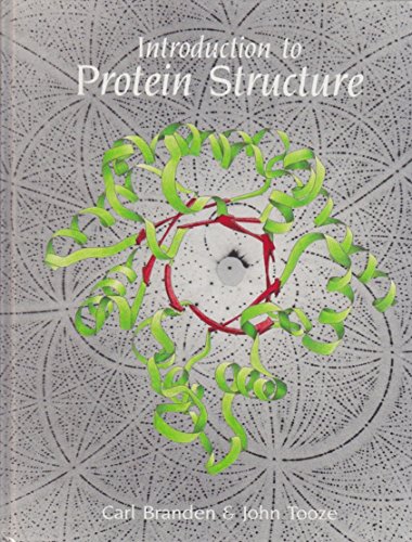 Beispielbild fr Introduction to Protein Structure zum Verkauf von Better World Books Ltd