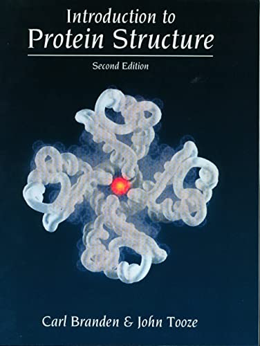 Beispielbild fr Introduction to Protein Structure zum Verkauf von Better World Books: West