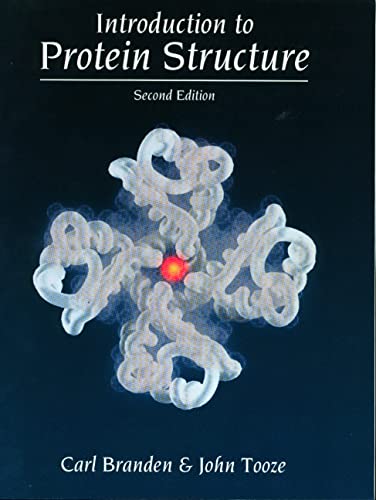 Imagen de archivo de Introduction to Protein Structure a la venta por Better World Books: West