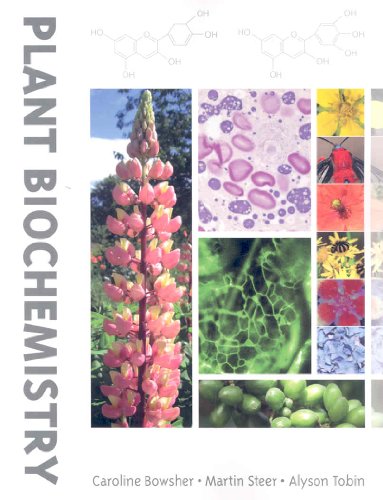 Stock image for Plant Biochemistry for sale by Books Unplugged