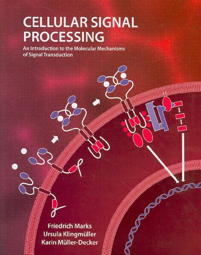 Stock image for Cellular Signal Processing: An Introduction to the Molecular Mechanisms of Signal Transduction for sale by SecondSale