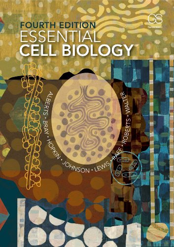 Stock image for Essential Cell Biology, 4th Edition for sale by Jenson Books Inc