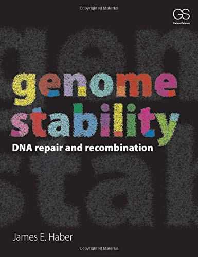 Stock image for Genome Stability : DNA Repair and Recombination for sale by Better World Books