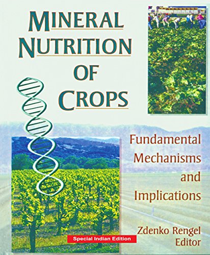 Stock image for Mineral Nutrition of Crops: Fundamental Mechanisms and Implications (CRC Press-Reprint Year 2018) for sale by Mispah books