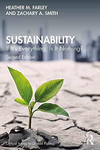 9780815357162: Sustainability: If It's Everything, Is It Nothing? (Critical Issues in Global Politics)