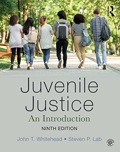 Beispielbild fr Juvenile Justice: An Introduction zum Verkauf von HPB-Red