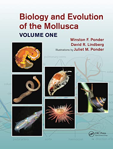 Beispielbild fr Biology And Evolution Of The Mollusca, Volume 1 zum Verkauf von Books Puddle