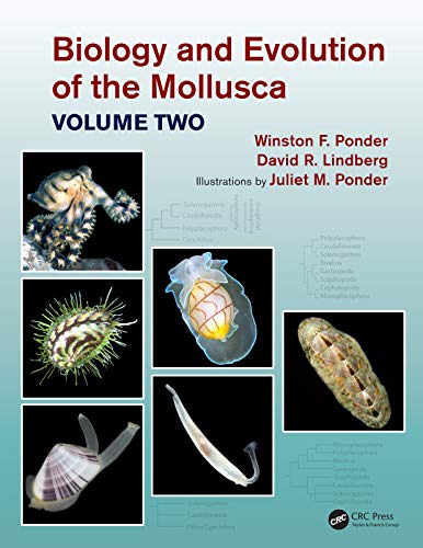 Beispielbild fr Biology and Evolution of the Mollusca, Volume Two zum Verkauf von Chiron Media