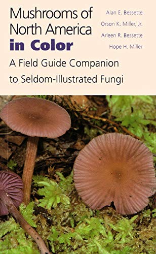 Imagen de archivo de Mushrooms of North America in Color: A Field Guide Companion to Seldom-Illustrated Fungi a la venta por SecondSale