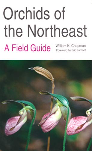 9780815603429: Orchids of the Northeast: A Field Guide