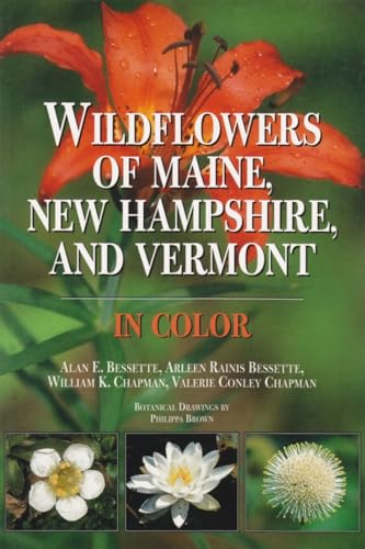 9780815605867: Wildflowers of Maine, New Hampshire, and Vermont in Color