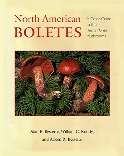 9780815605881: North American Boletes