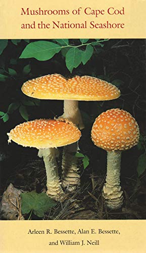 Imagen de archivo de Mushrooms of Cape Cod and the National Seashore a la venta por Lakeside Books