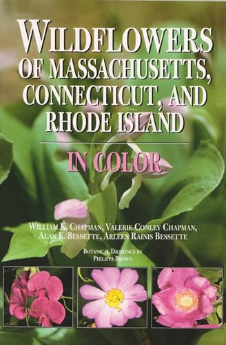 Imagen de archivo de Wildflowers of Massachusetts, Connecticut, and Rhode Island in Color a la venta por BooksRun