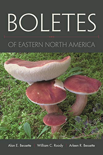 Stock image for Boletes of Eastern North America for sale by Midtown Scholar Bookstore