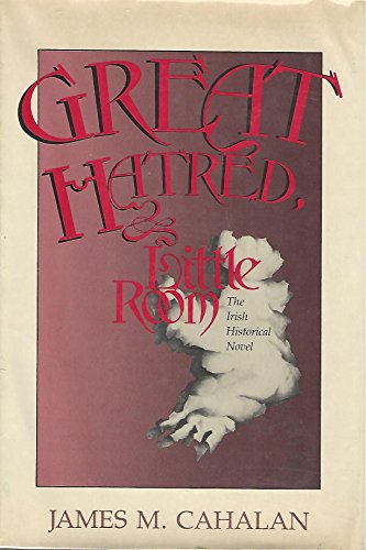 Imagen de archivo de Great Hatred, Little Room : The Irish Historical Novel a la venta por Better World Books: West