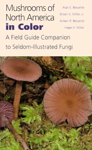 Stock image for Mushrooms of North America in Color: A Field Guide Companion to Seldom-Illustrated Fungi for sale by COLLINS BOOKS