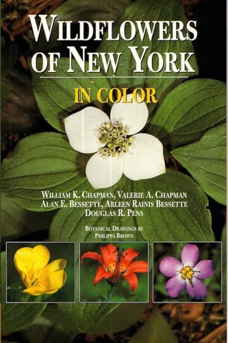 Stock image for Wildflowers of New York in Color for sale by Friends of Poughkeepsie Library