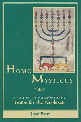 Beispielbild fr Homo Mysticus: A Guide to Maimonides's Guide for the Perplexed. zum Verkauf von Henry Hollander, Bookseller