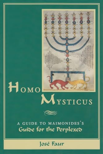 Stock image for Homo Mysticus: A Guide to Maimonides's Guide for the Perplexed for sale by Front Cover Books