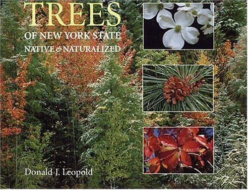 Stock image for Trees of New York State: Native and Naturalized for sale by Books Unplugged