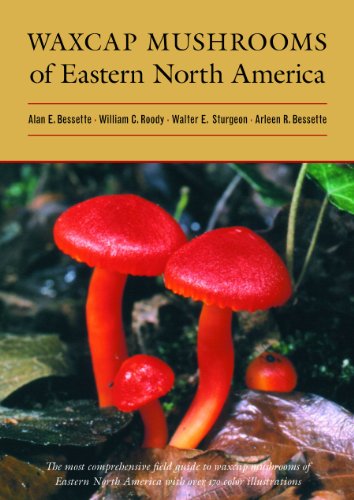 Stock image for WAXCAP MUSHROOMS OF EASTERN NORTH AMERICA. for sale by PASCALE'S  BOOKS