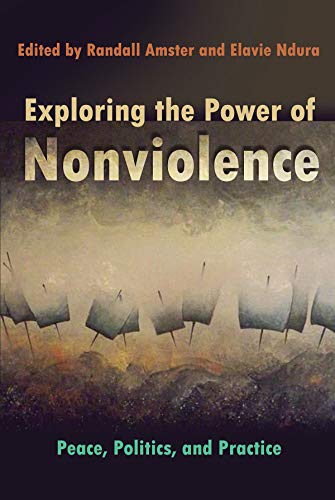 Beispielbild fr Exploring the Power of Nonviolence: Peace, Politics, and Practice (Syracuse Studies on Peace and Conflict Resolution) zum Verkauf von Midtown Scholar Bookstore