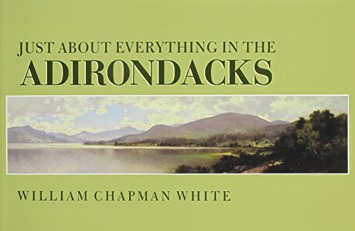 Stock image for Just About Everything in the Adirondacks for sale by Hippo Books