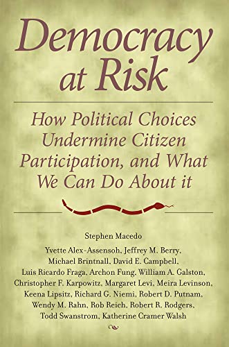 Stock image for Democracy at Risk : How Political Choices Undermine Citizen Participation, and What We Can Do about It for sale by Better World Books: West