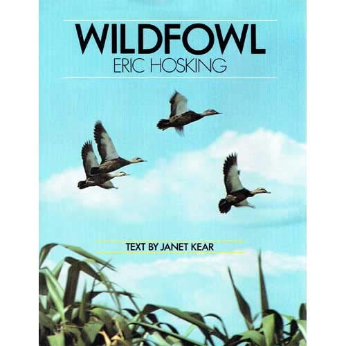 Stock image for Wildfowl for sale by Better World Books