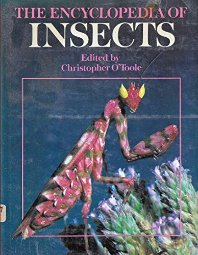 Stock image for The Encyclopedia of Insects for sale by ThriftBooks-Atlanta