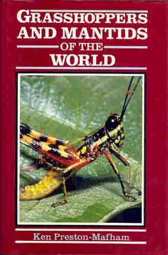 Beispielbild fr Grasshoppers and Mantids of the World zum Verkauf von Books of the Smoky Mountains