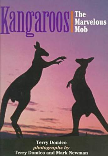Stock image for Kangaroos: The Marvelous Mob. for sale by N. Fagin Books