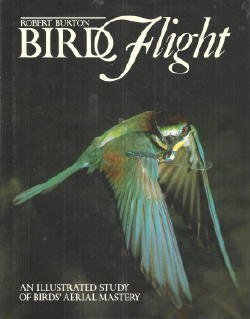 Bird Flight: An Illustrated Study of Bird's Aerial Mastery