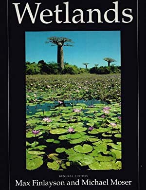 Beispielbild fr Wetlands zum Verkauf von Michael Patrick McCarty, Bookseller