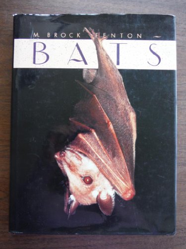 Imagen de archivo de Bats a la venta por Better World Books