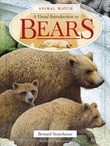 Stock image for Bears : A Visual Introduction to Bears for sale by Better World Books: West